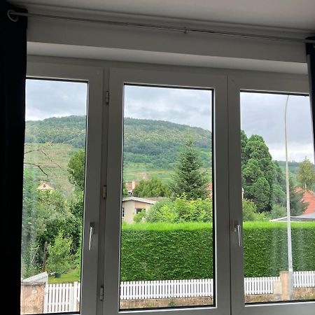 Appartement Le cocon à Guebwiller Extérieur photo