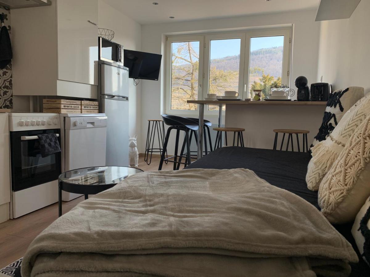 Appartement Le cocon à Guebwiller Extérieur photo