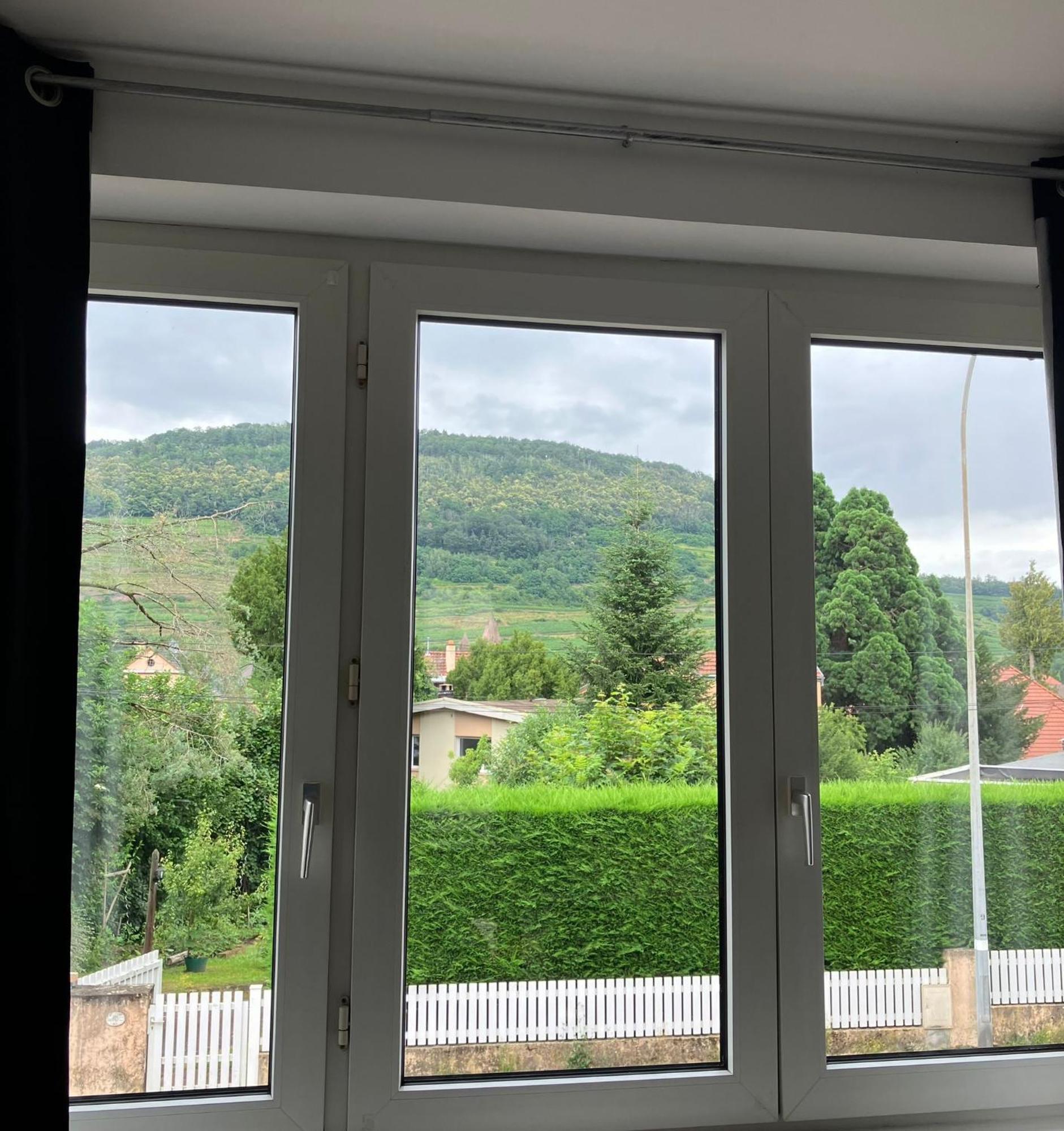 Appartement Le cocon à Guebwiller Extérieur photo